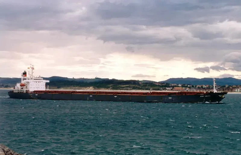 THE CREATOR Bulk Carrier IMO 9077226 photo 8