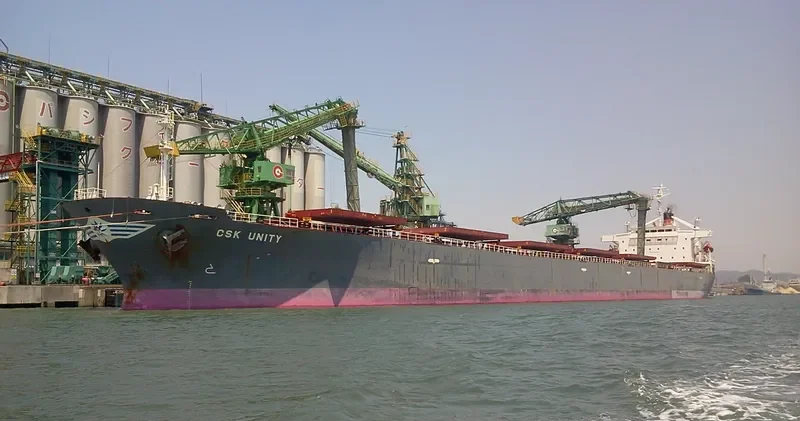 THE CREATOR Bulk Carrier IMO 9077226 photo 10