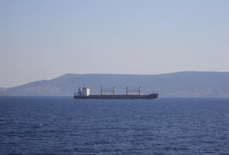 SPAR NEPTUN Bulk Carrier IMO 9077238 photo 3