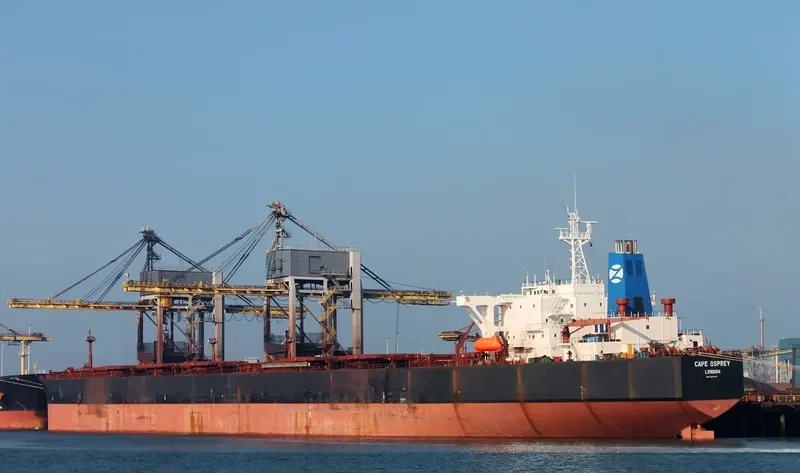 CAPE OSPREY Bulk Carrier IMO 9077367 photo 5