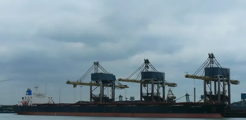 CAPE OSPREY Bulk Carrier IMO 9077367 photo 7