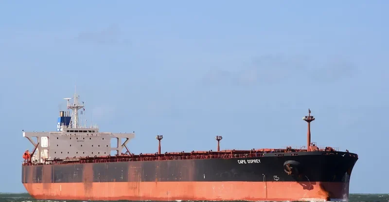 CAPE OSPREY Bulk Carrier IMO 9077367 photo 9