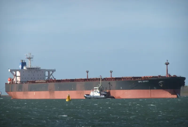 CAPE OSPREY Bulk Carrier IMO 9077367 photo 10