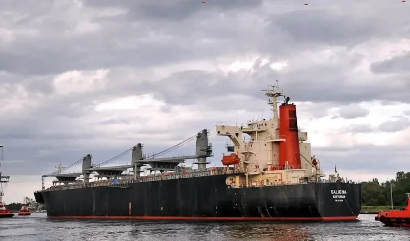 ALIGN General Cargo IMO 9078153 photo 4