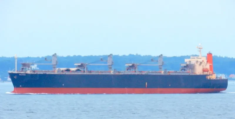 ALIGN General Cargo IMO 9078153 photo 5