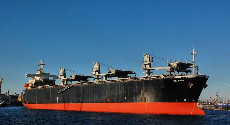ALIGN General Cargo IMO 9078153 photo 9