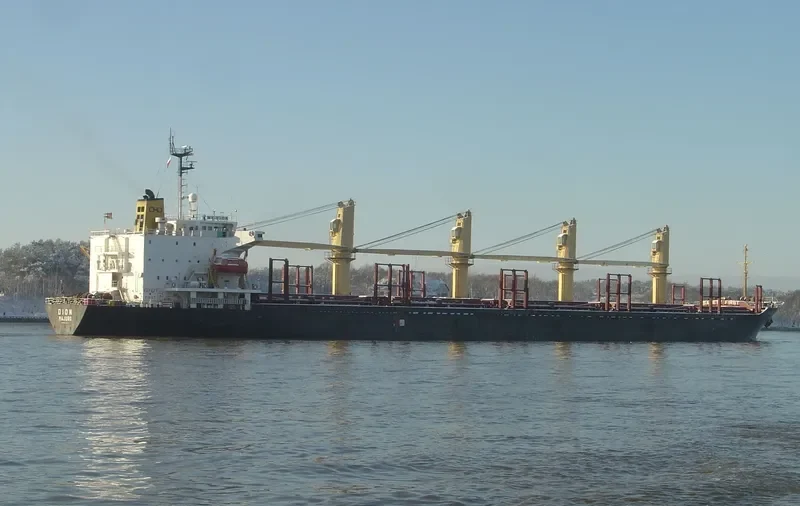 UNIVERSE ALLIANCE Bulk Carrier IMO 9078335 photo 5