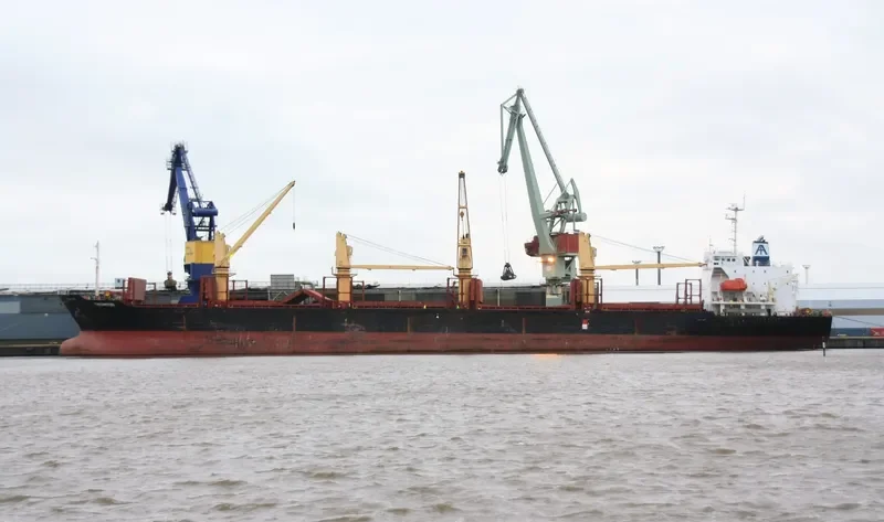 UNIVERSE ALLIANCE Bulk Carrier IMO 9078335 photo 10