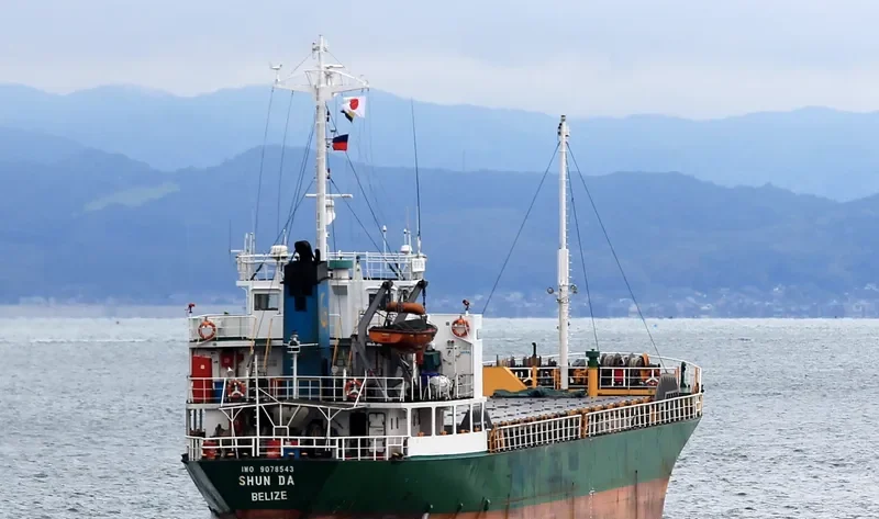 DA SHINE General Cargo IMO 9078543