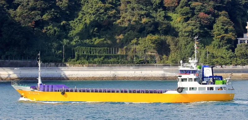 EBISU MARU NO.8 General Cargo IMO 9078658 photo 10