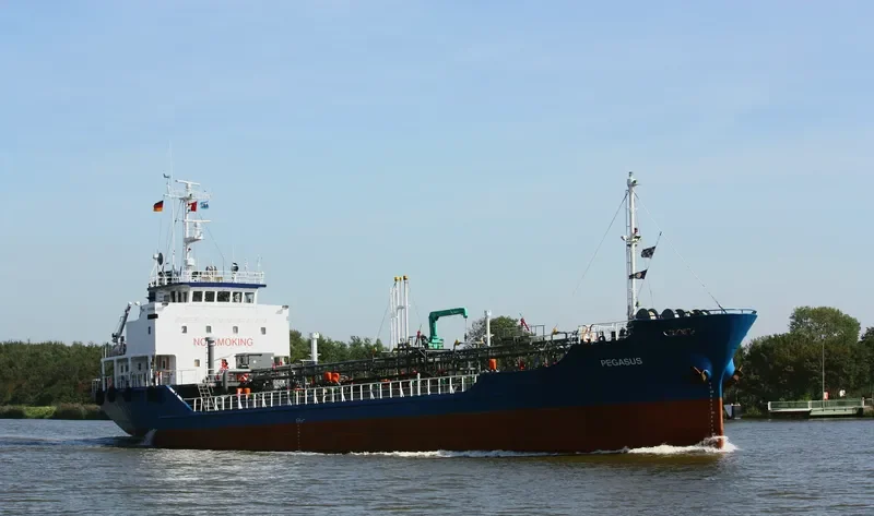 PEGAS General Cargo IMO 9078983 photo 2