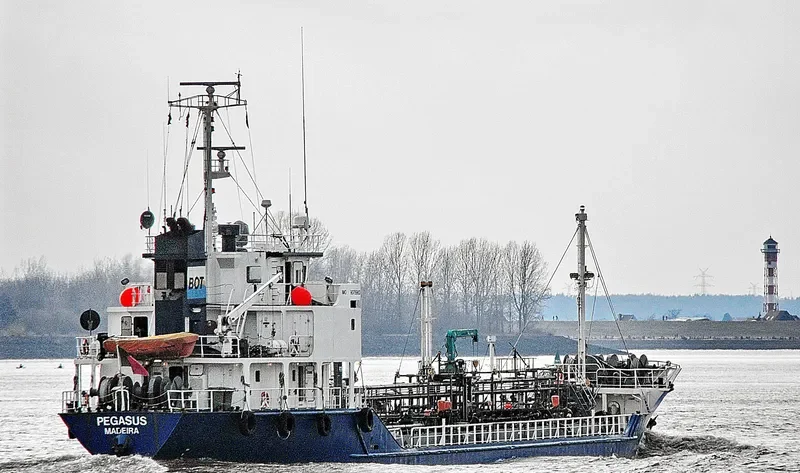 PEGAS General Cargo IMO 9078983 photo 7