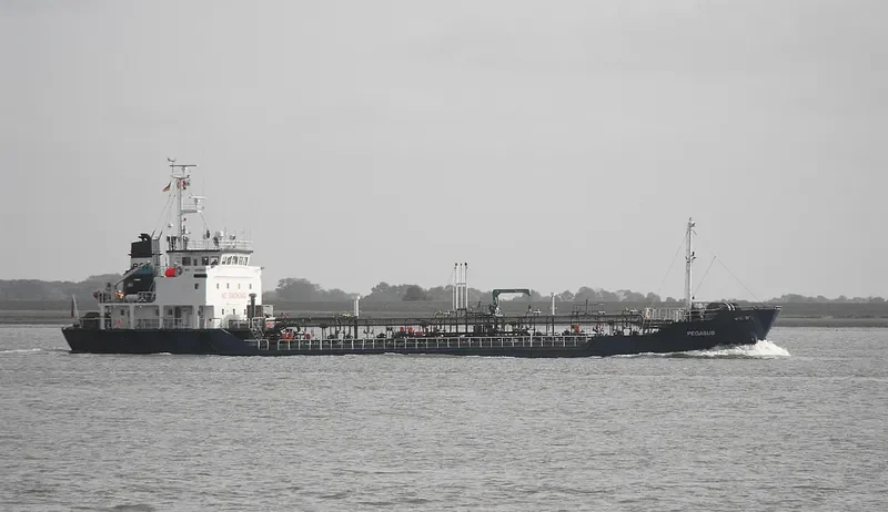 PEGAS General Cargo IMO 9078983 photo 8