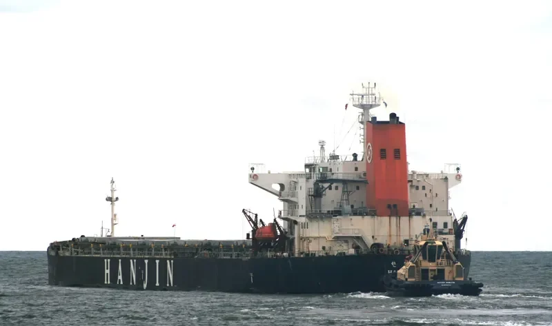 BON VOYAGE Bulk Carrier IMO 9079145 photo 8