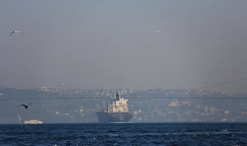 REPTON Container Ship IMO 9079547 photo 3