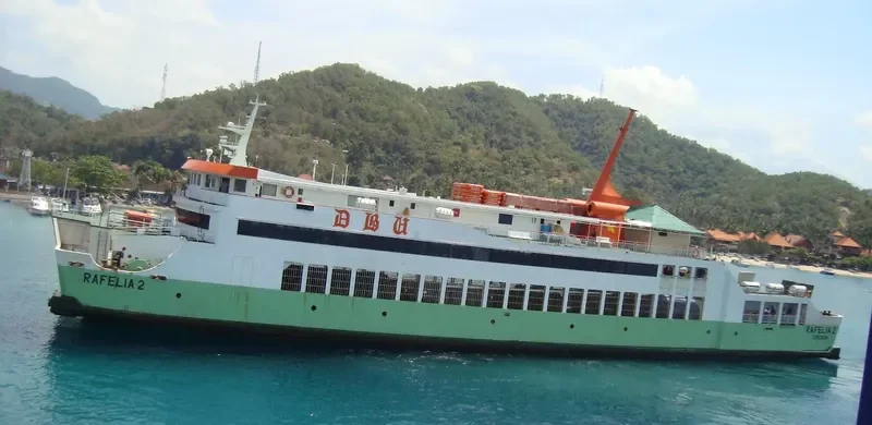 RAFELIA 2 Ro-Ro IMO 9079690 photo 2
