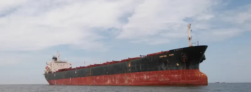 WOO Bulk Carrier IMO 9080649