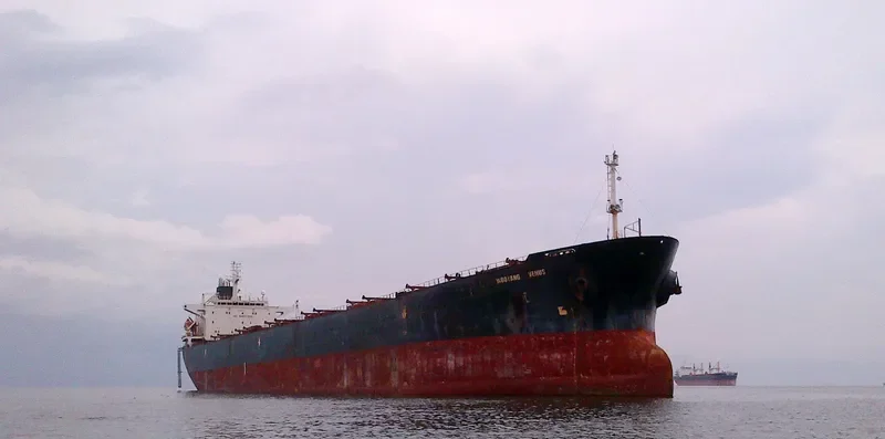 WOO Bulk Carrier IMO 9080649 photo 4