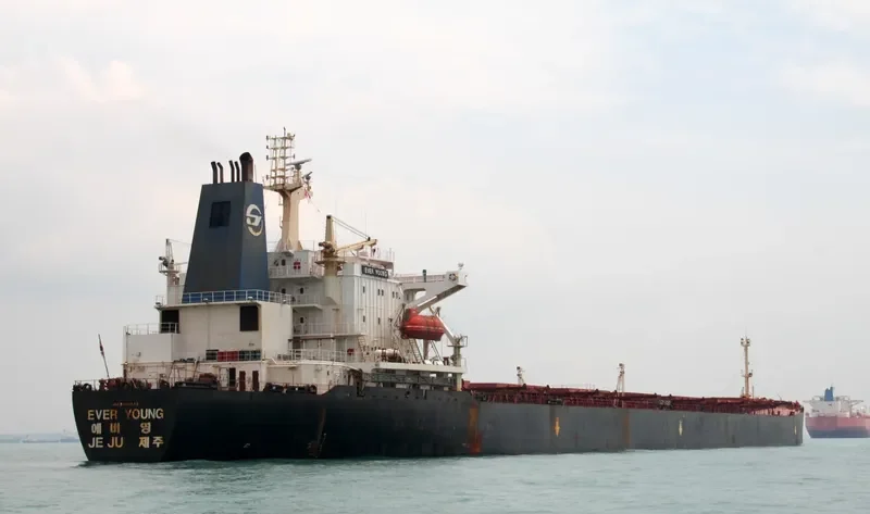WOO Bulk Carrier IMO 9080649 photo 6