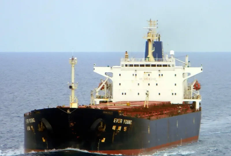 WOO Bulk Carrier IMO 9080649 photo 8