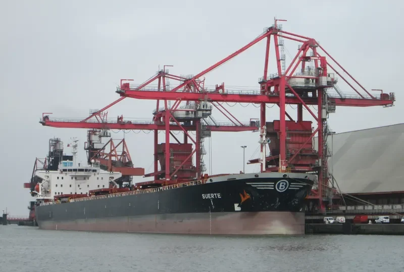 SUERTE Bulk Carrier IMO 9081100 photo 3