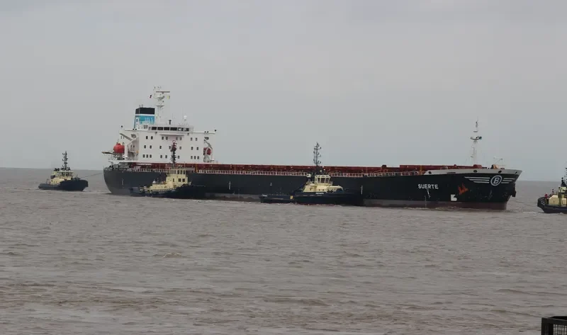 SUERTE Bulk Carrier IMO 9081100 photo 5