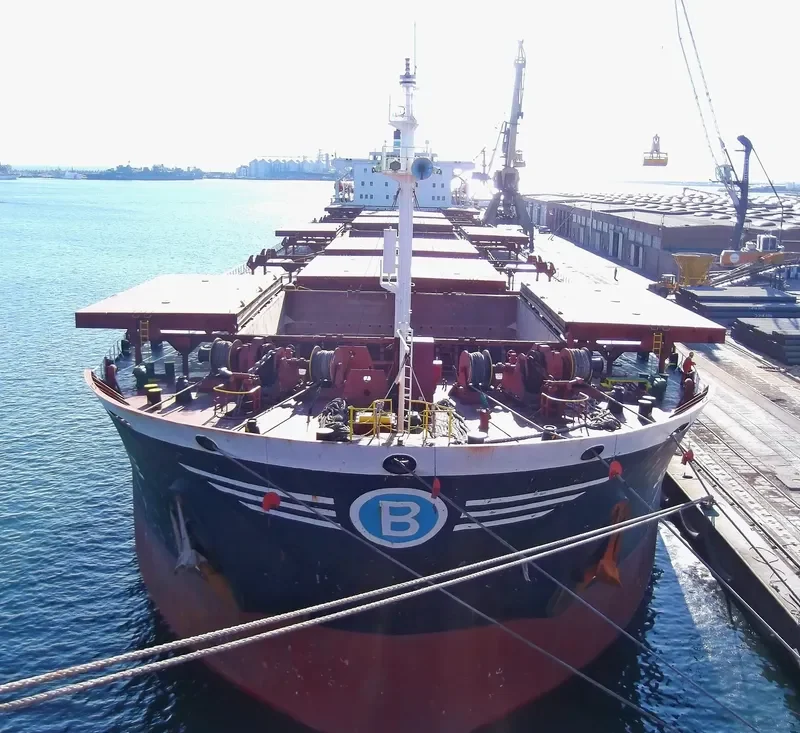SUERTE Bulk Carrier IMO 9081100 photo 6