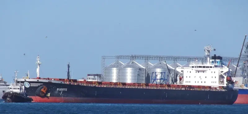 SUERTE Bulk Carrier IMO 9081100 photo 8