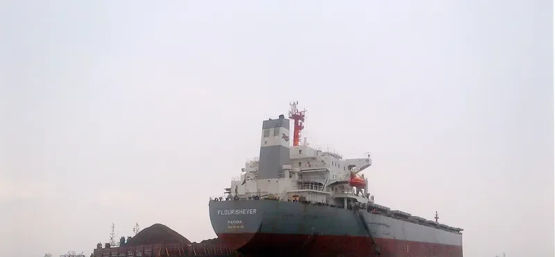 FLOURISHEVER Bulk Carrier IMO 9081112 photo 2