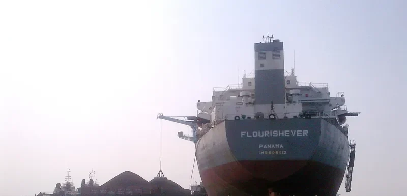 FLOURISHEVER Bulk Carrier IMO 9081112 photo 3