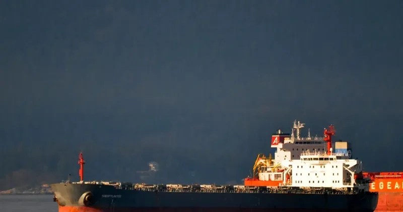 FLOURISHEVER Bulk Carrier IMO 9081112 photo 7
