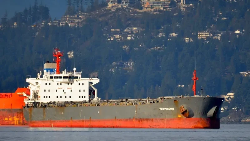 FLOURISHEVER Bulk Carrier IMO 9081112 photo 8