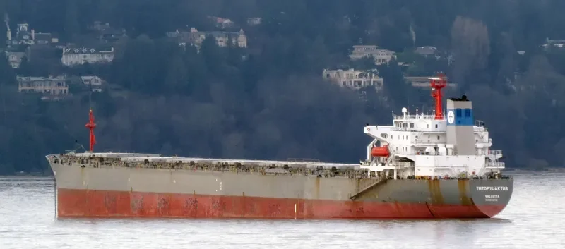 FLOURISHEVER Bulk Carrier IMO 9081112 photo 9