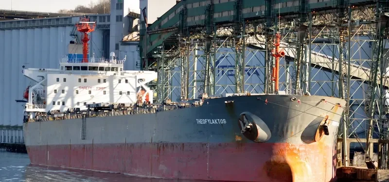 FLOURISHEVER Bulk Carrier IMO 9081112 photo 10