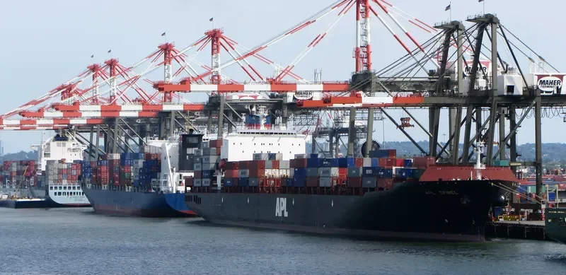 SPINEL Container Ship IMO 9081215 photo 3