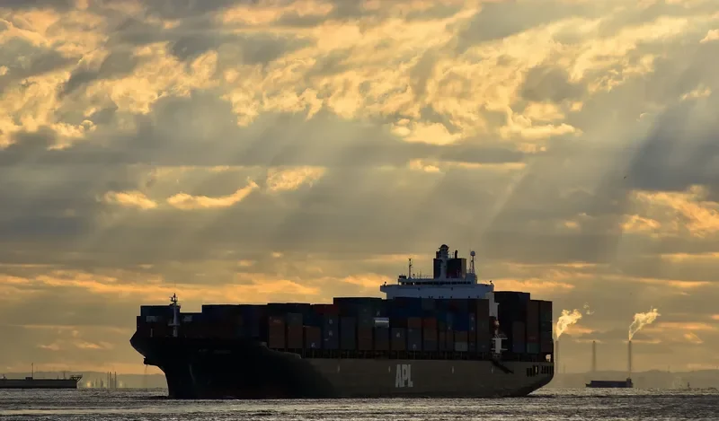 SPINEL Container Ship IMO 9081215 photo 10