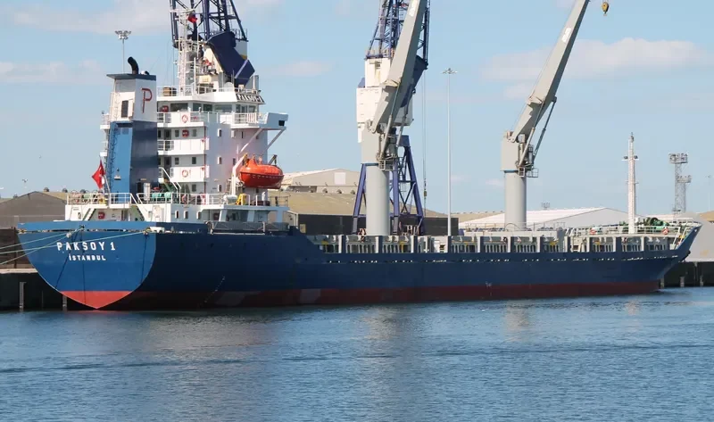 PAKSOY 1 Container Ship IMO 9081992