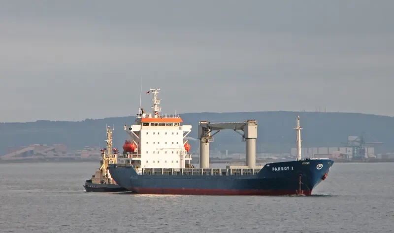 PAKSOY 1 Container Ship IMO 9081992 photo 2