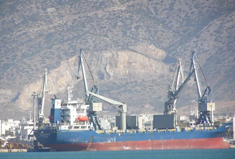 PAKSOY 1 Container Ship IMO 9081992 photo 3
