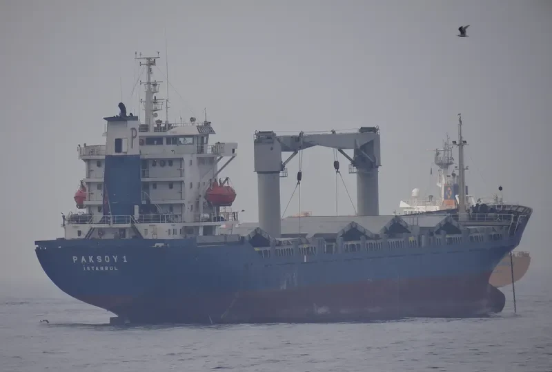 PAKSOY 1 Container Ship IMO 9081992 photo 6