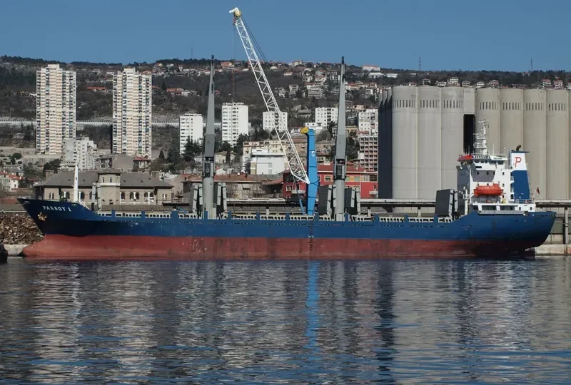 PAKSOY 1 Container Ship IMO 9081992 photo 10