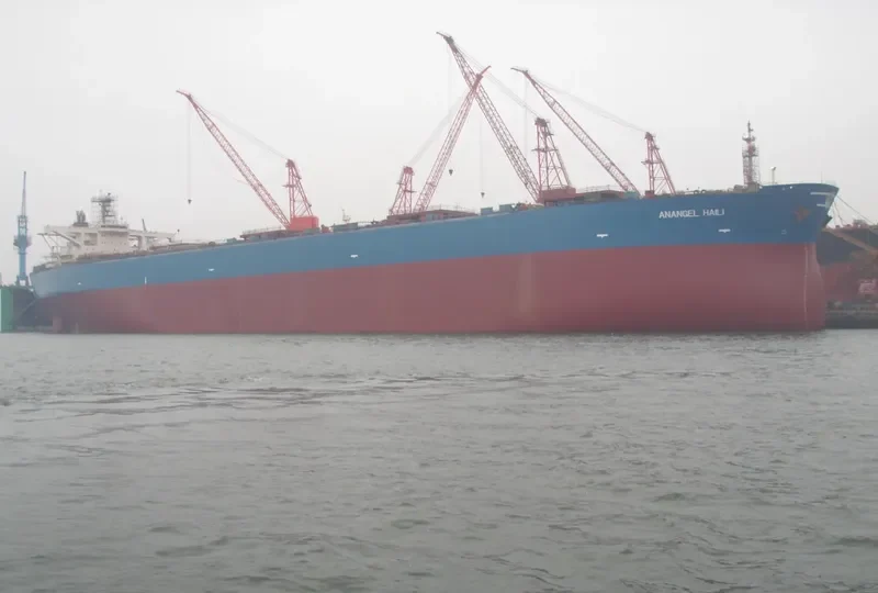 HULK Bulk Carrier IMO 9082350 photo 2