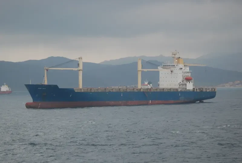 PORT SAID Container Ship IMO 9082362 photo 10