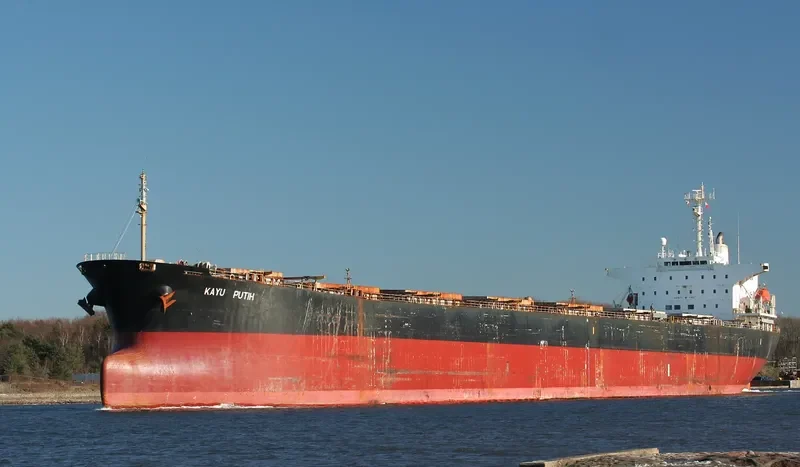 ELLIE Bulk Carrier IMO 9082726 photo 3
