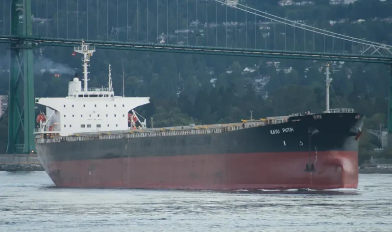 ELLIE Bulk Carrier IMO 9082726 photo 5