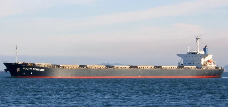 ELLIE Bulk Carrier IMO 9082726 photo 7