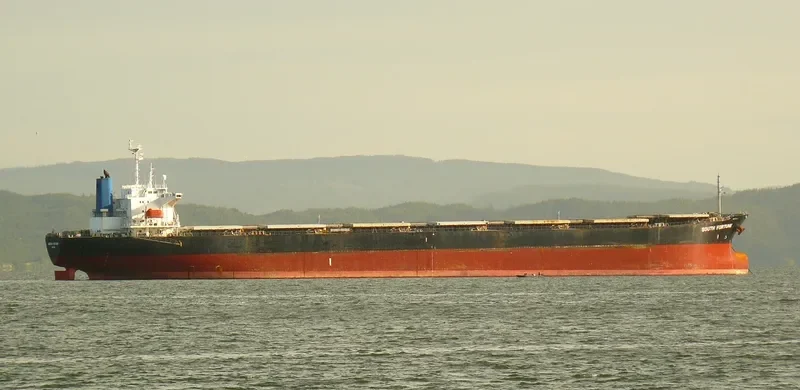 ELLIE Bulk Carrier IMO 9082726 photo 8