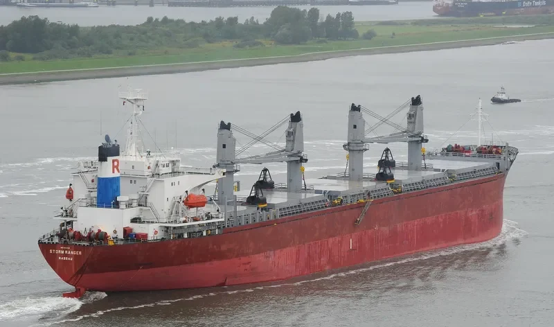 SEA SMILE Bulk Carrier IMO 9082738