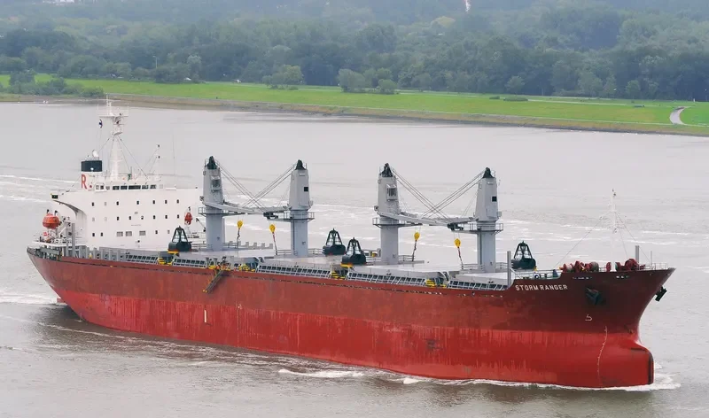 SEA SMILE Bulk Carrier IMO 9082738 photo 3