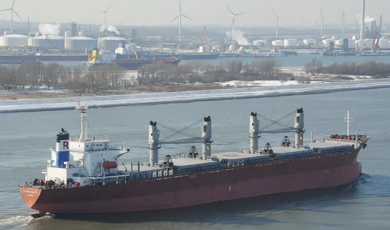 SEA SMILE Bulk Carrier IMO 9082738 photo 4